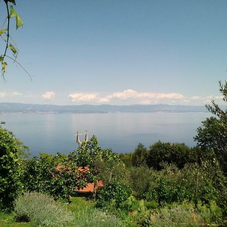 Apartments Blue & Green Mošćenička Draga Екстериор снимка