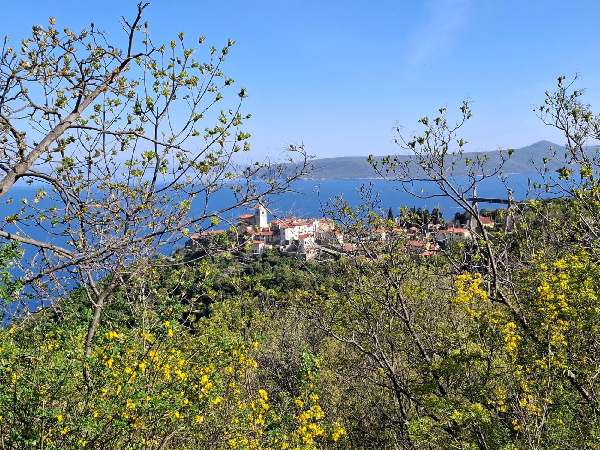 Apartments Blue & Green Mošćenička Draga Екстериор снимка