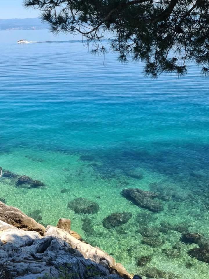 Apartments Blue & Green Mošćenička Draga Екстериор снимка