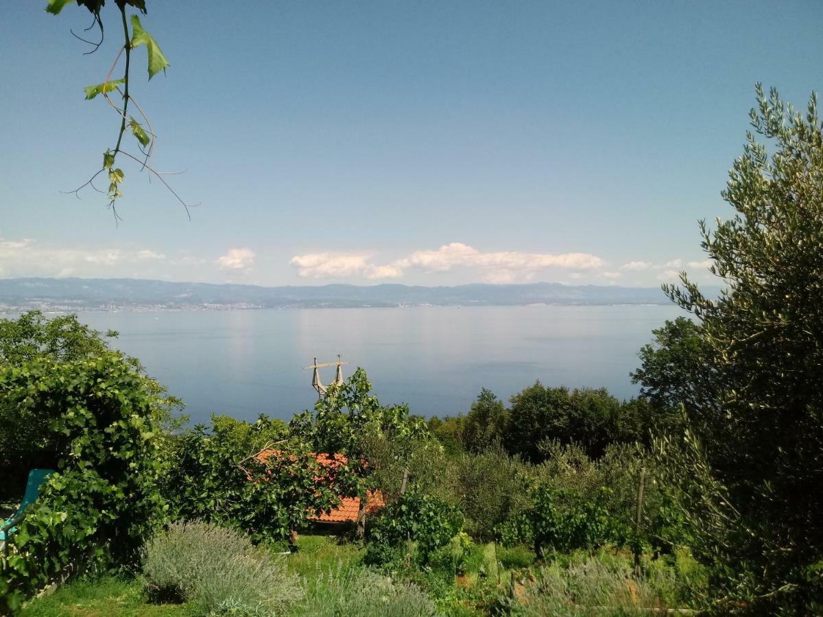 Apartments Blue & Green Mošćenička Draga Екстериор снимка